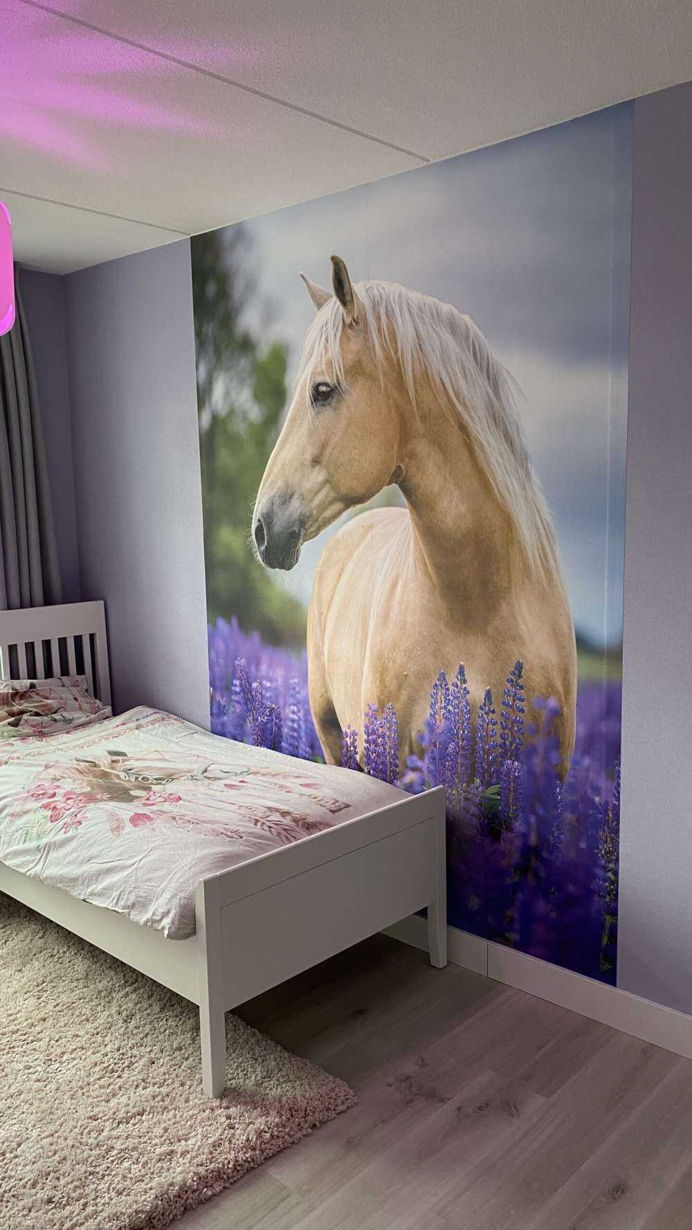 Horse among the butterfly flowers