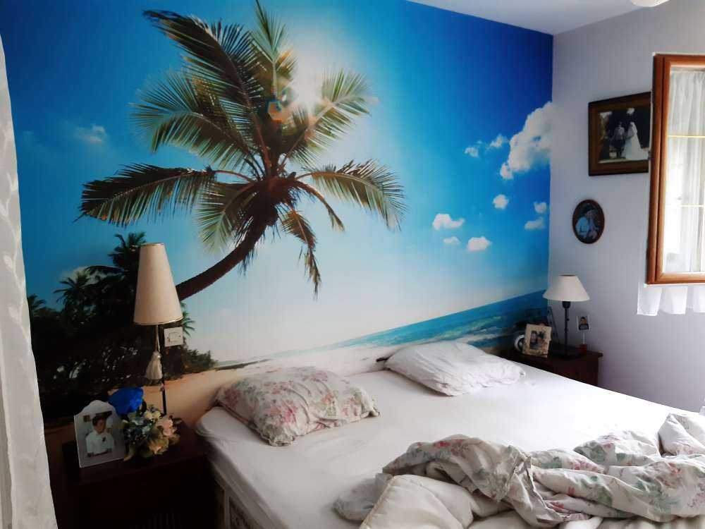 Large palm tree