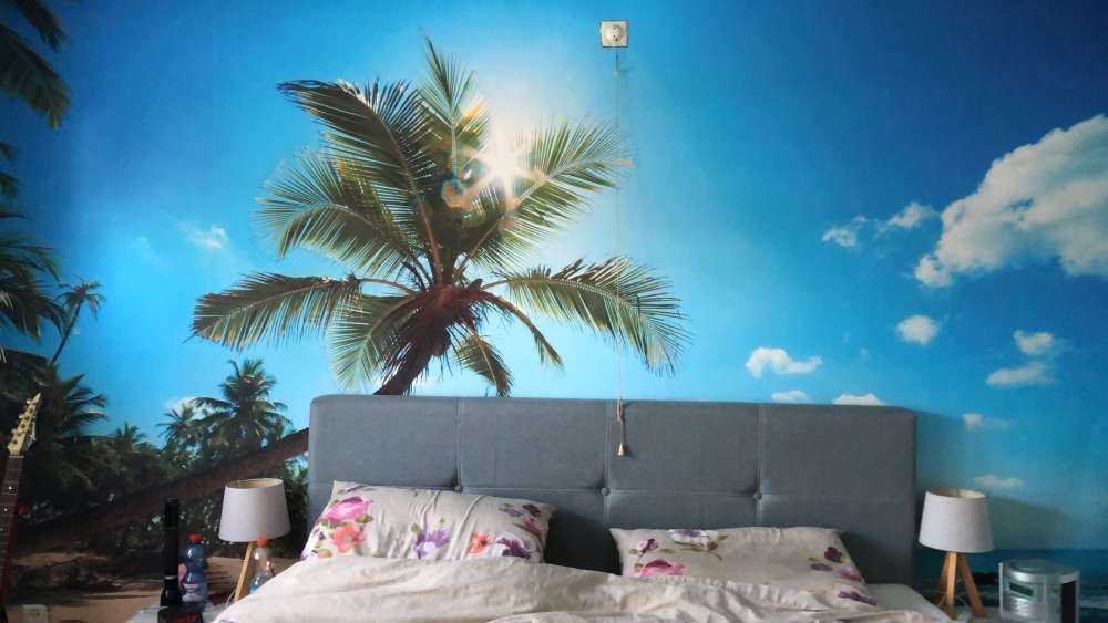 Large palm tree