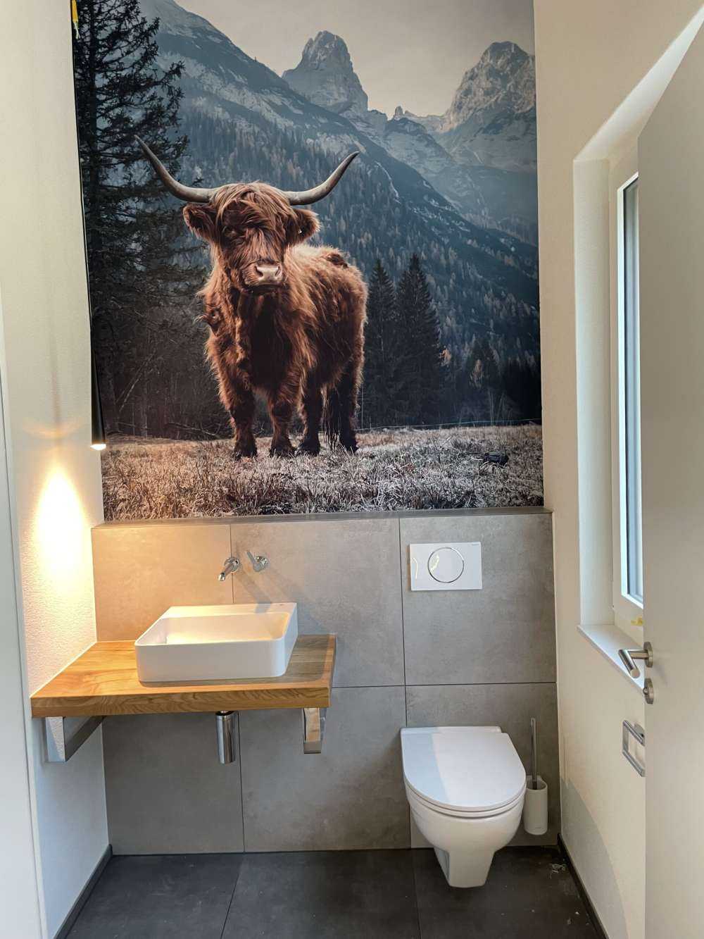 Scottish highlander among the trees