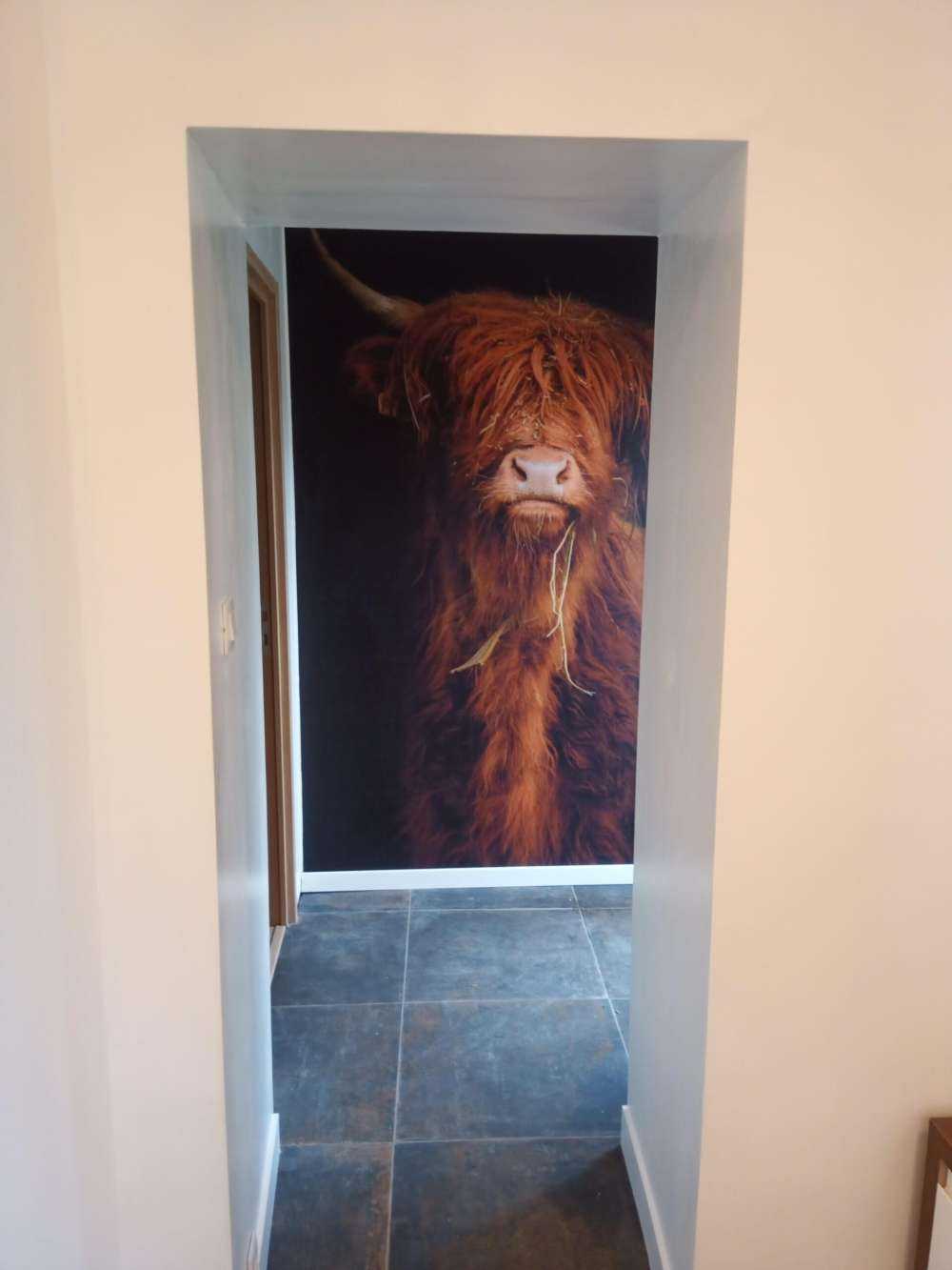 Portrait&#x20;Scottish&#x20;Highlander