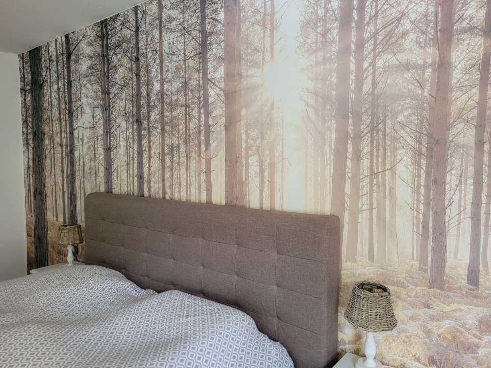 Sun rays in the cold forest