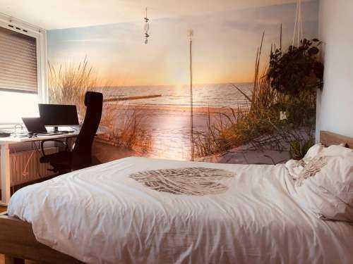 Dune beach with sunset