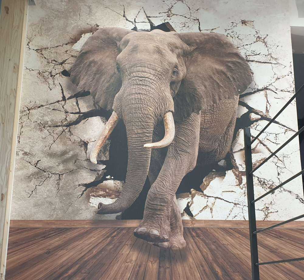 Big elephant out of the wall