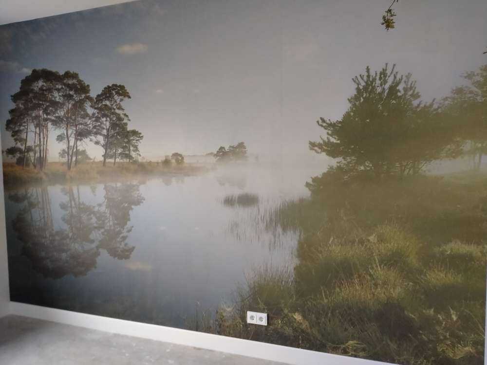 Reflection in moorland