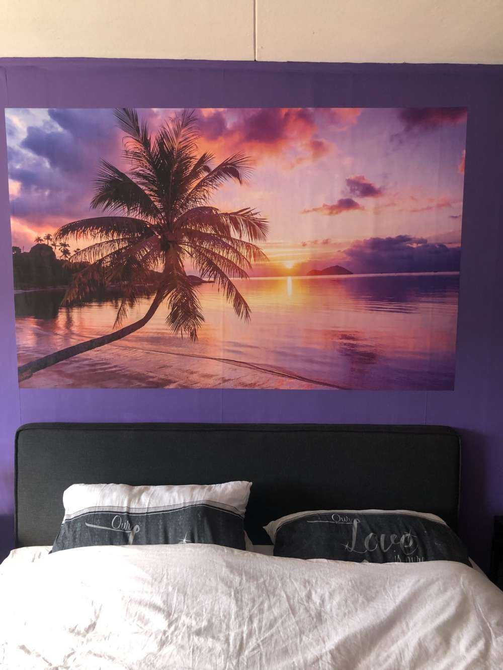 Palm tree at a sunset