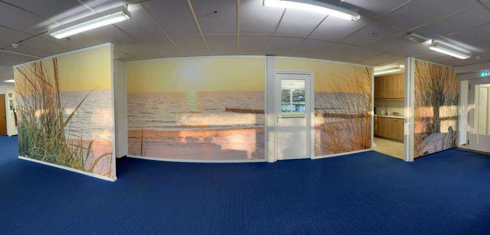 Beach access through the dunes