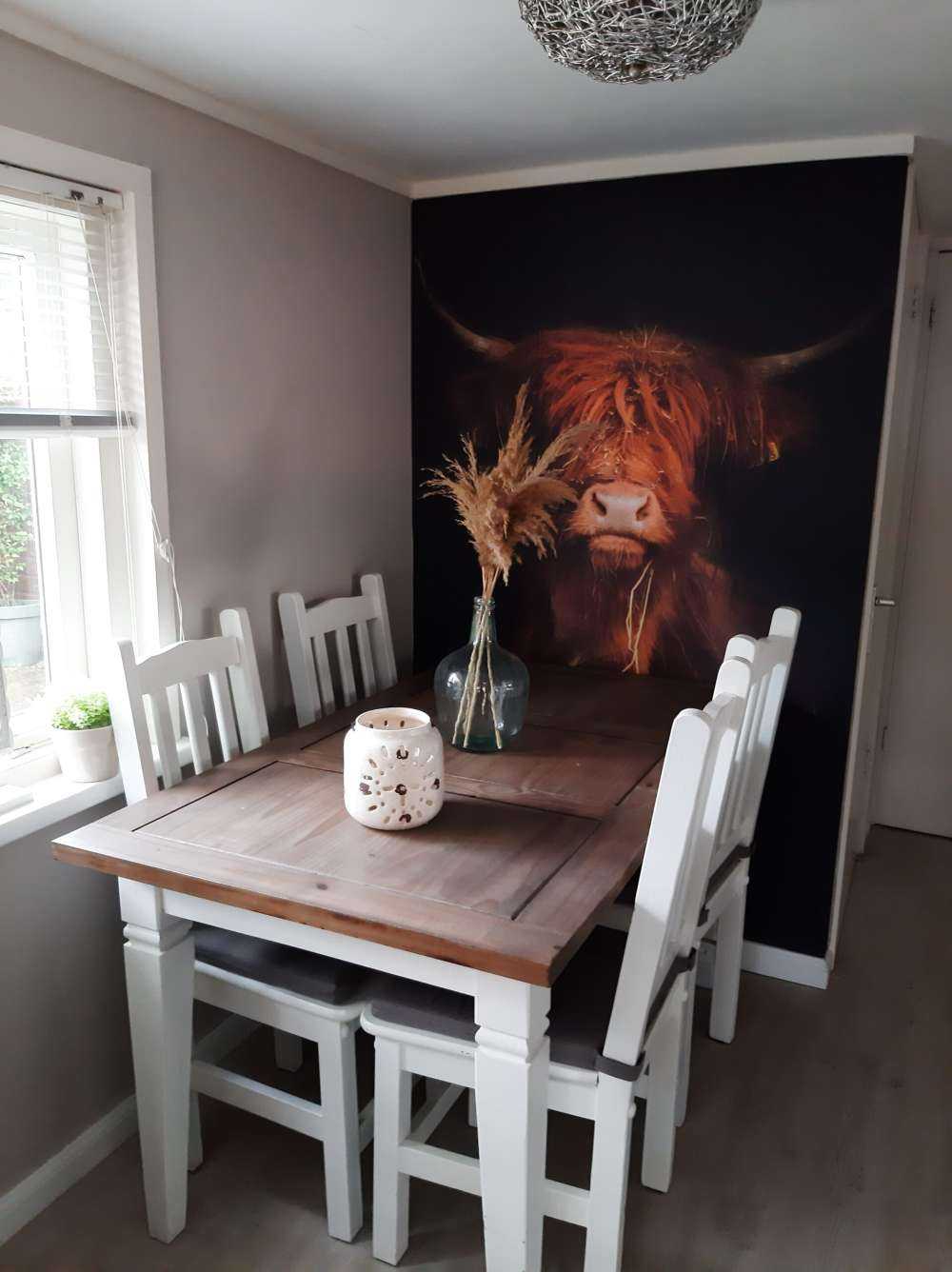 Portrait&#x20;Scottish&#x20;Highlander