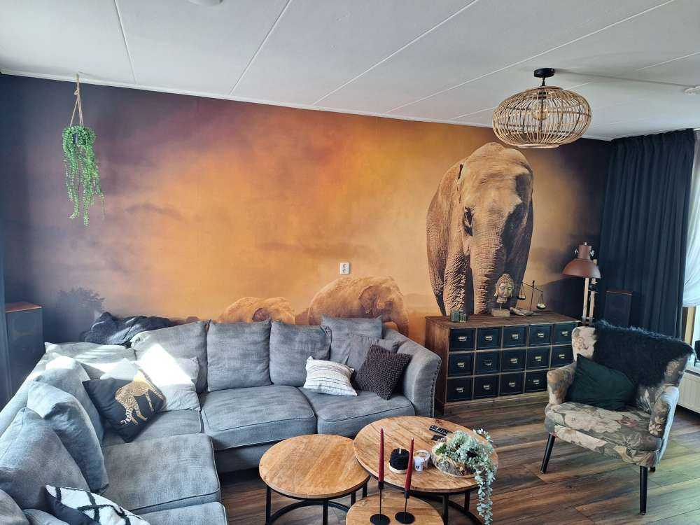 Three elephants