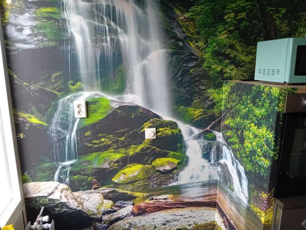 Jungle waterfall