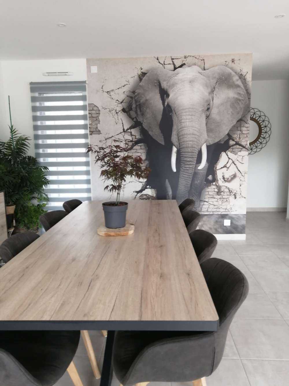 3D Elephant from the wall