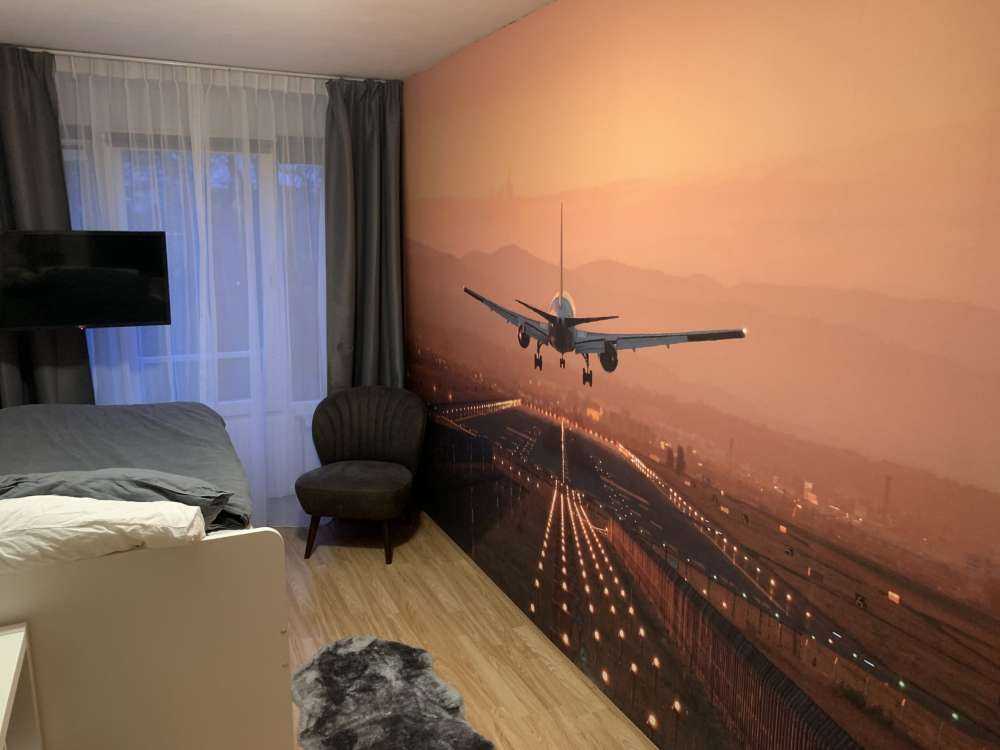 Landing plane in the evening sun