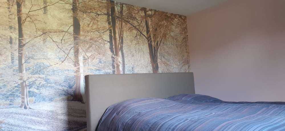 Stream in forest - pastel