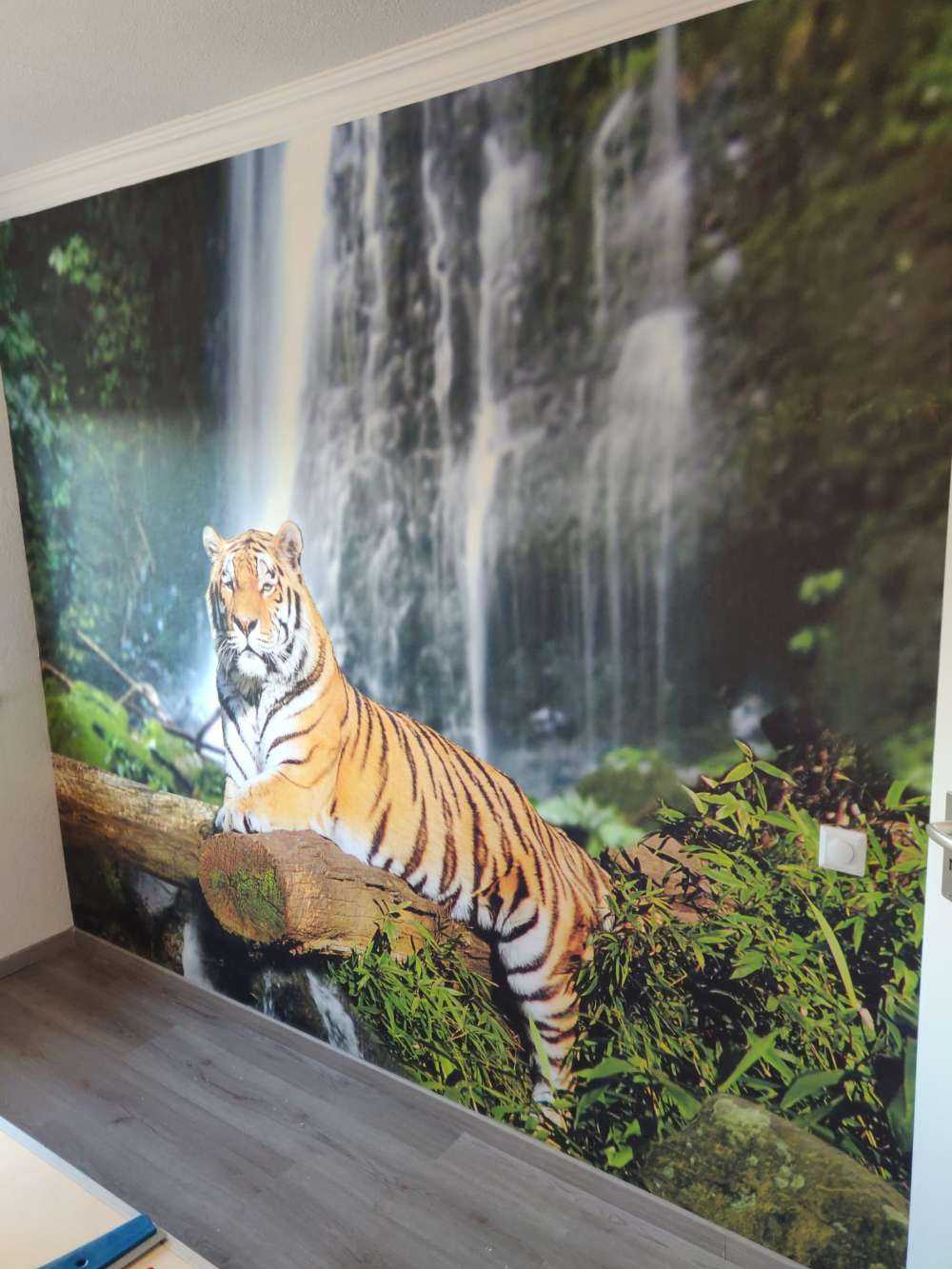 Tiger in the jungle