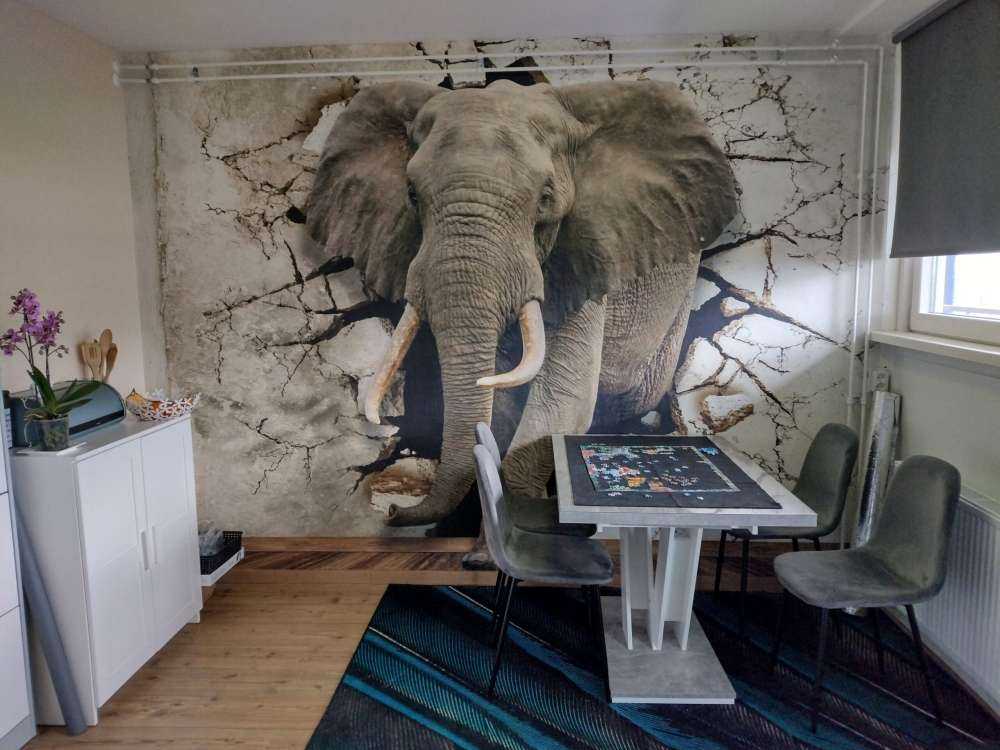 Big elephant out of the wall