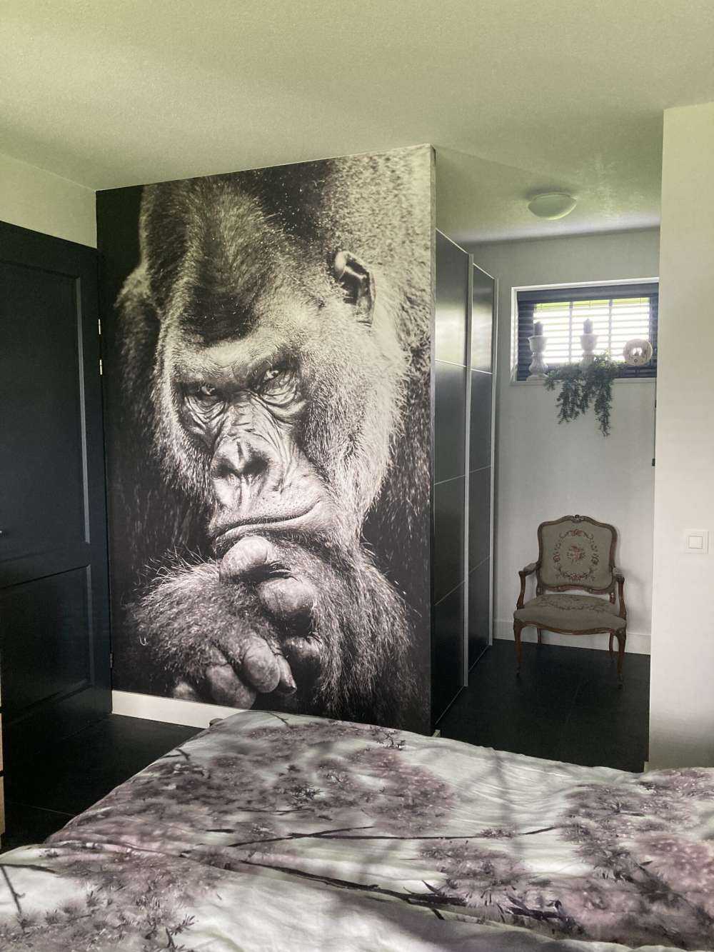 Close-up picture of a gorilla