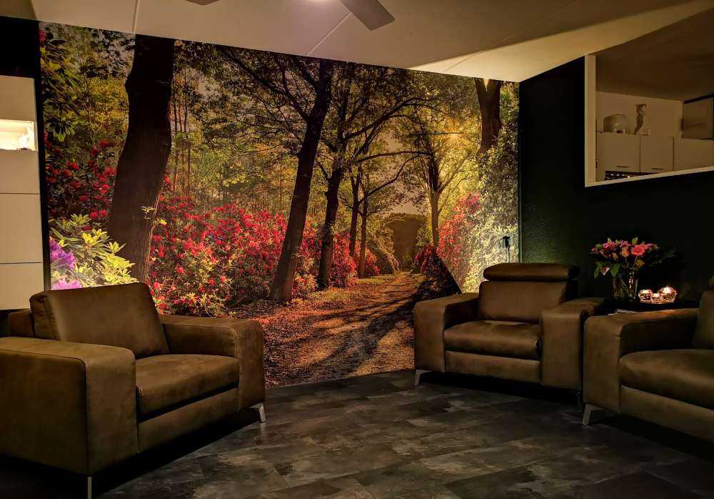 Sunrise at path with rhododendrons