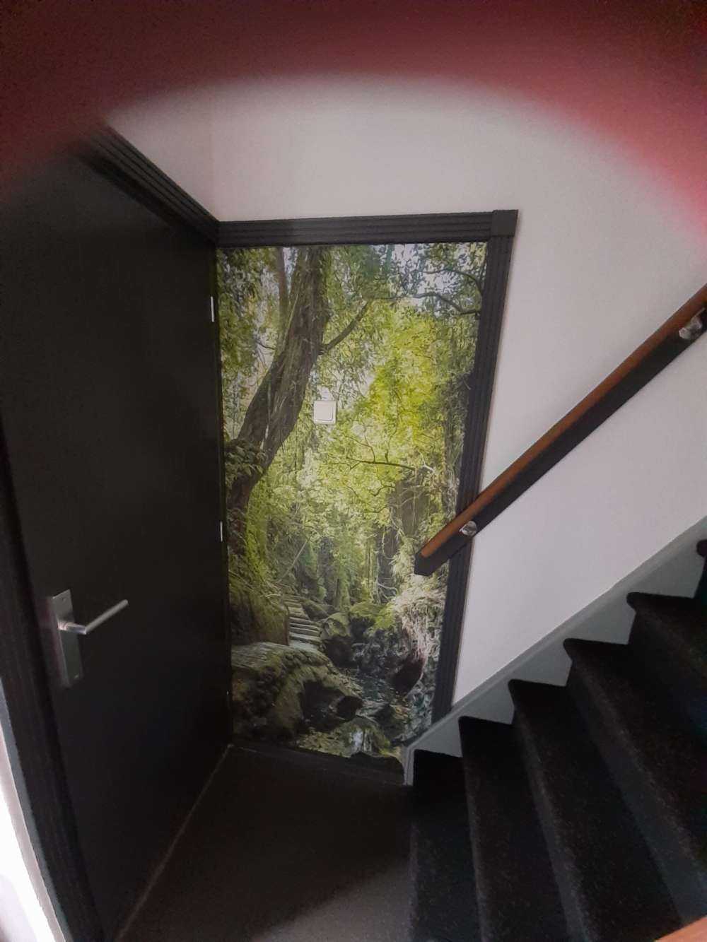 Path through the jungle