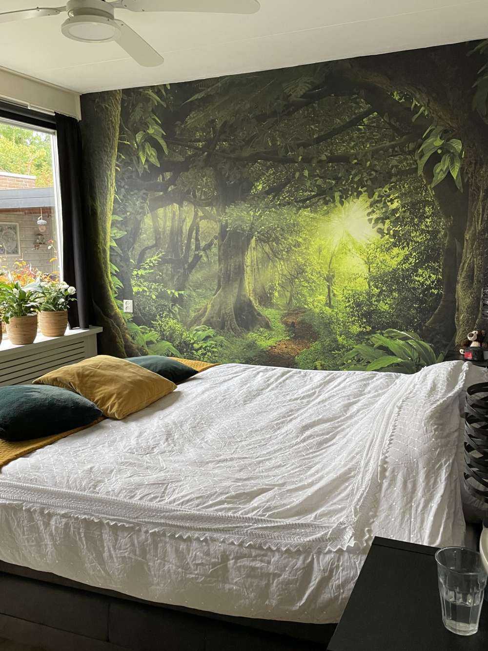 Tropical jungle with sunlight