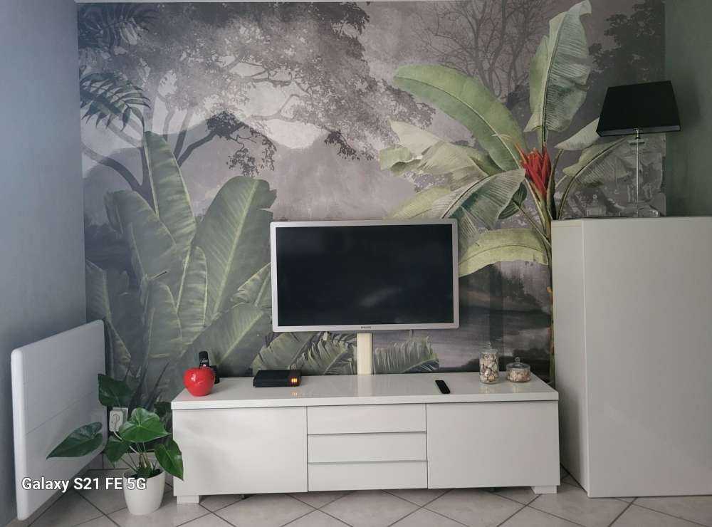 Trees in the tropics