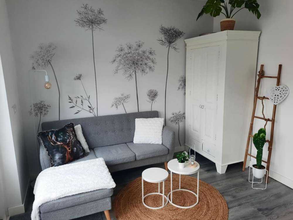 Cow parsley in black and white