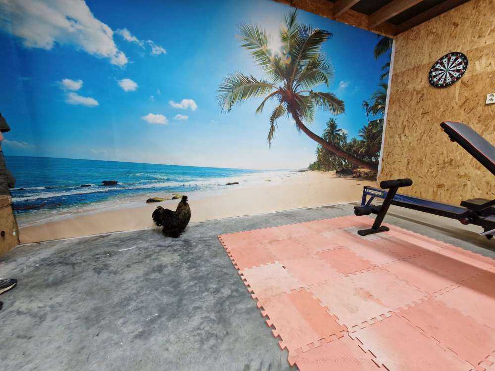 Large palm tree