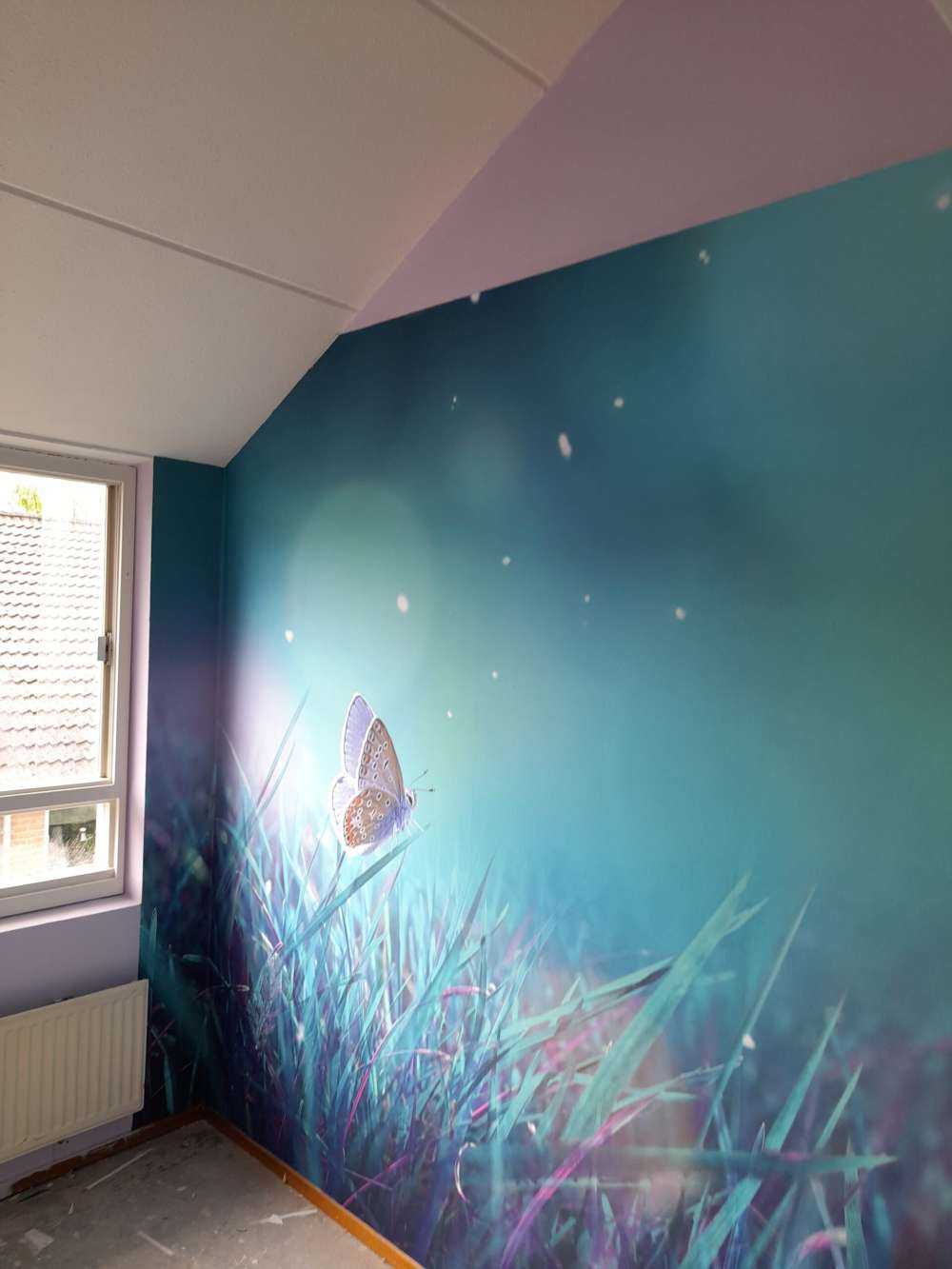 Butterfly in the morning dew