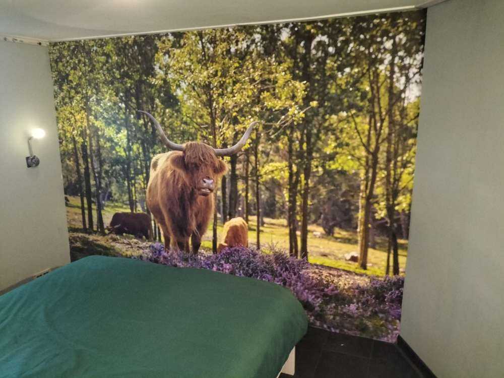 Highlanders in nature reserve