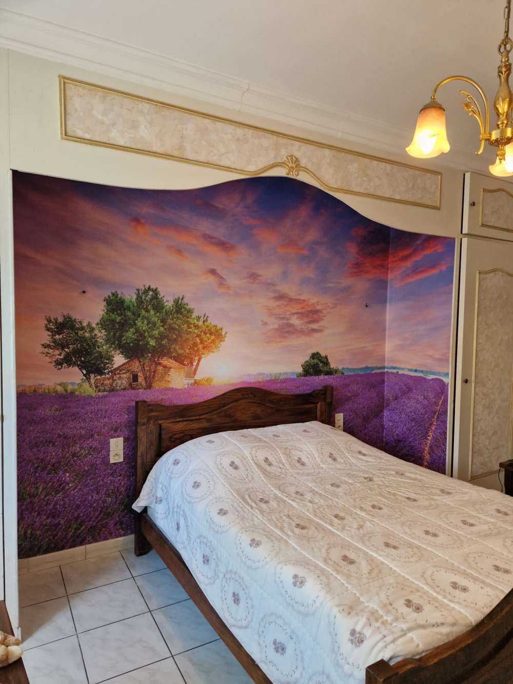 Lavender field during sunrise