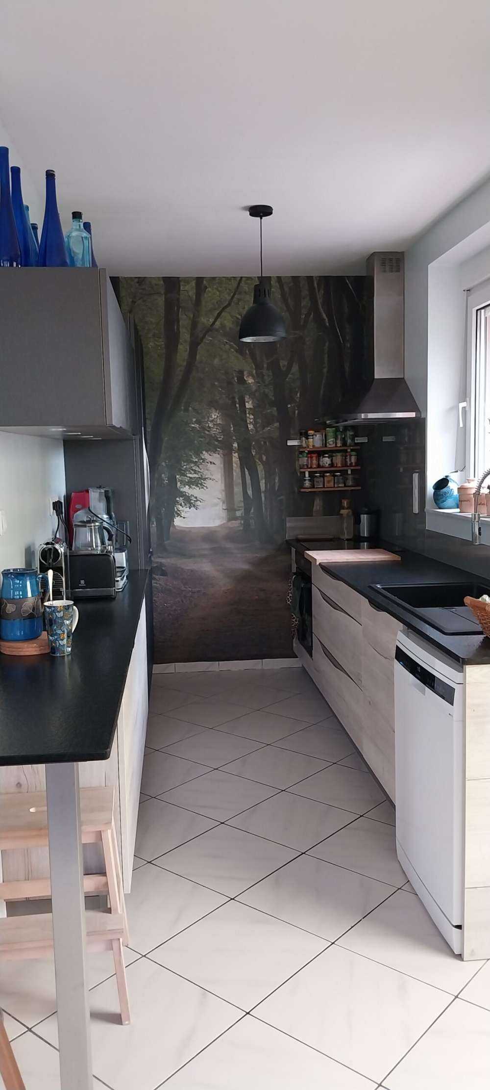 Sandpath in the forest