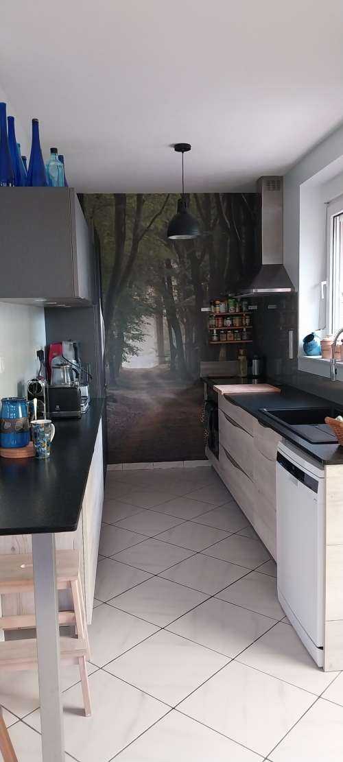 Sandpath in the forest