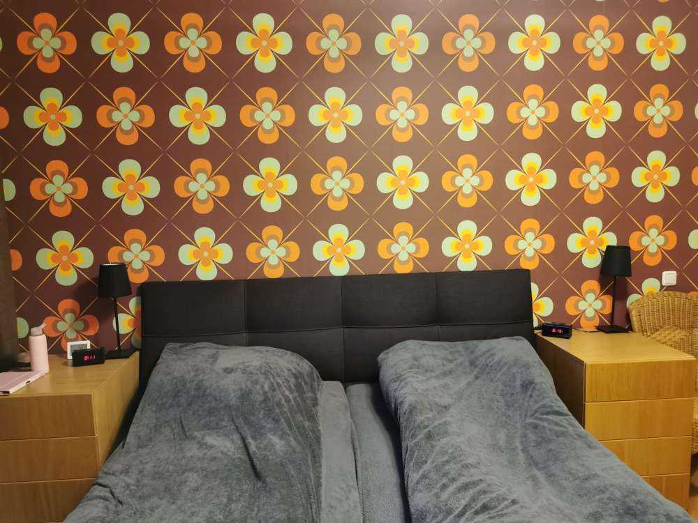 Vintage daisies flowers