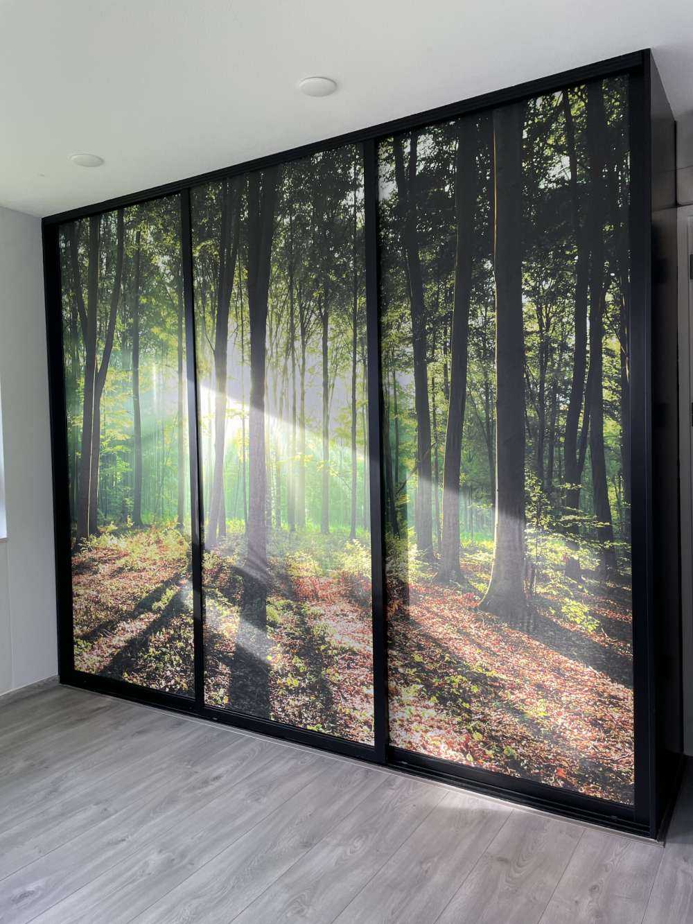 A morning in the forest