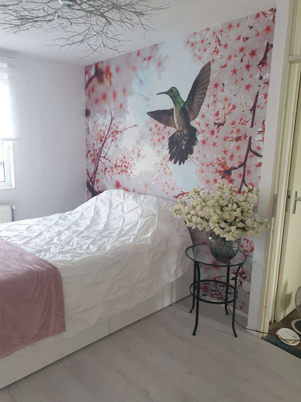 Hummingbird between the blossoms