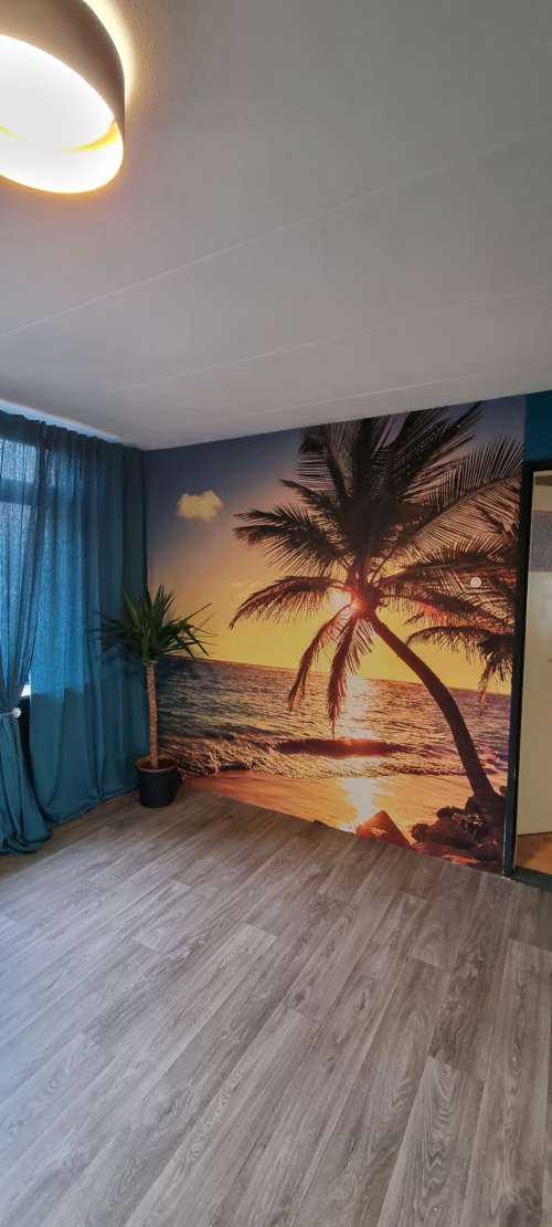 Tropical beach