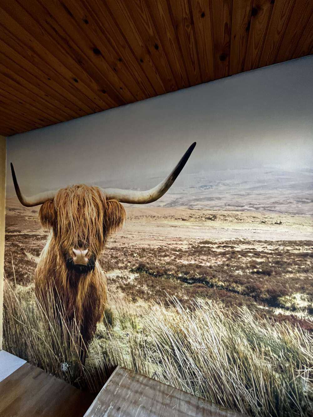 Scottish Highlander with reed