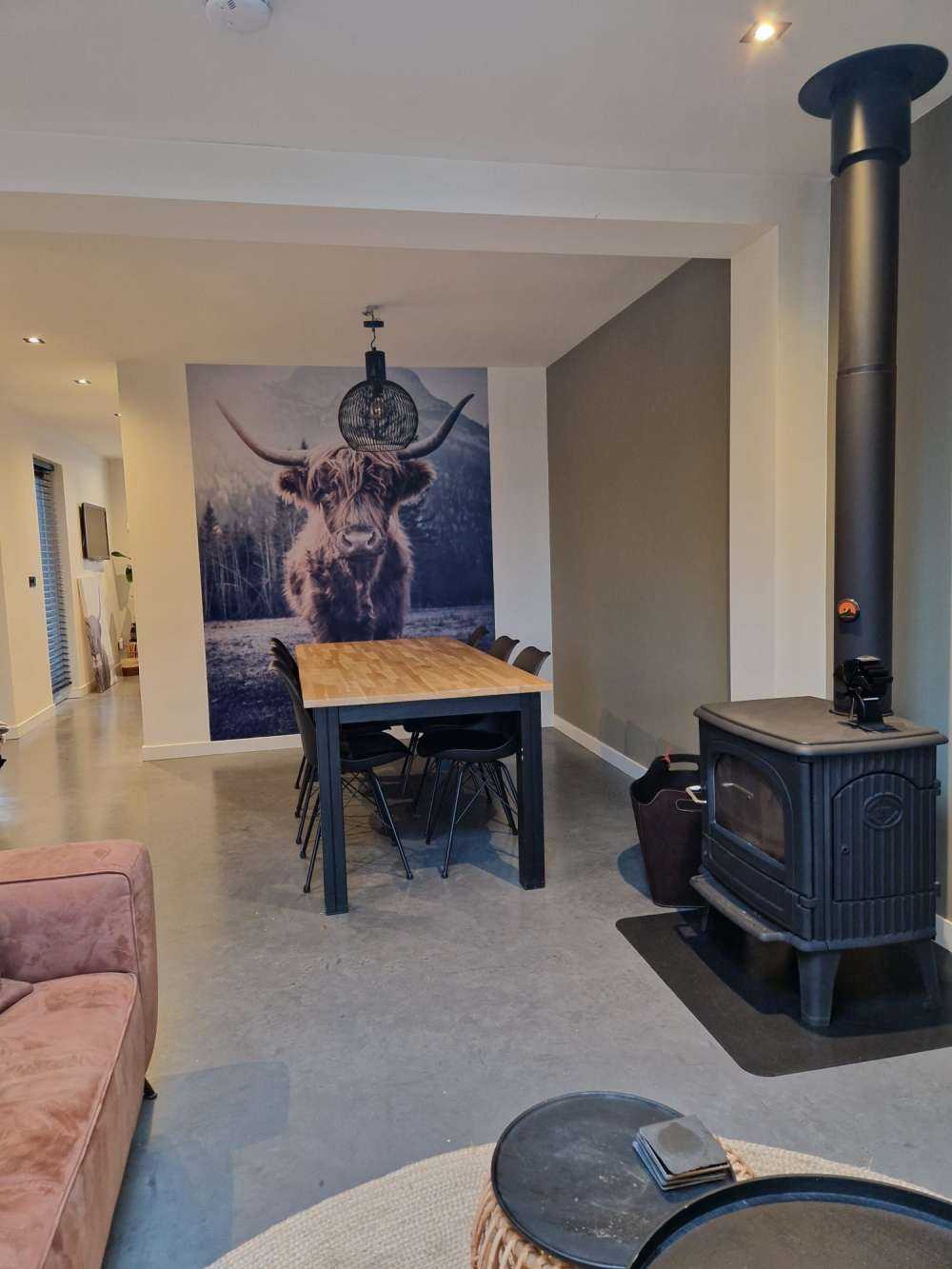 Scottish Highlander by the forest