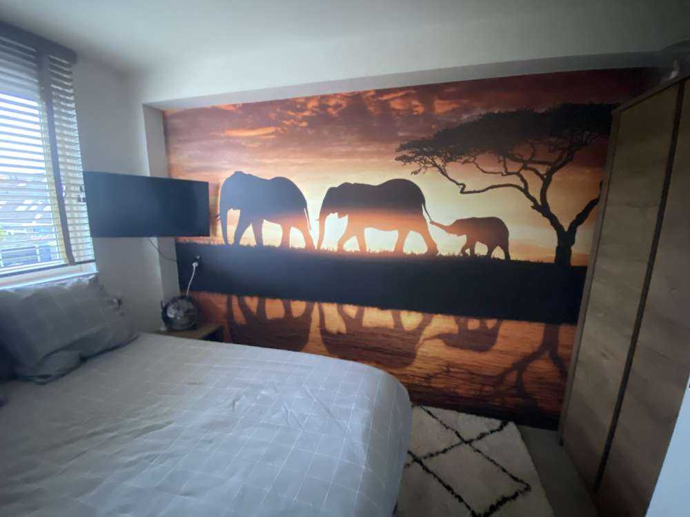 Elephants in savannah