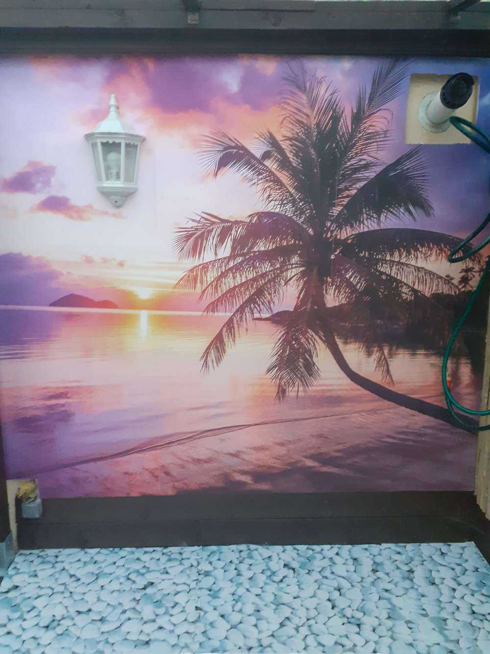 Palm tree at a sunset