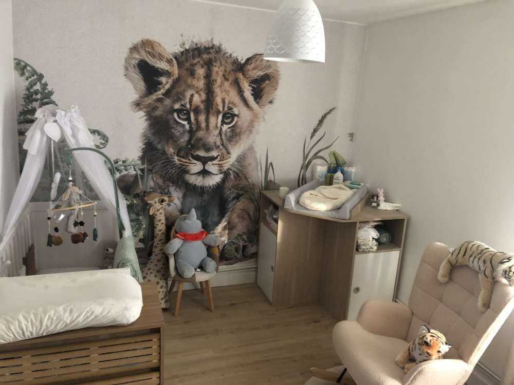 Young lion in the jungle