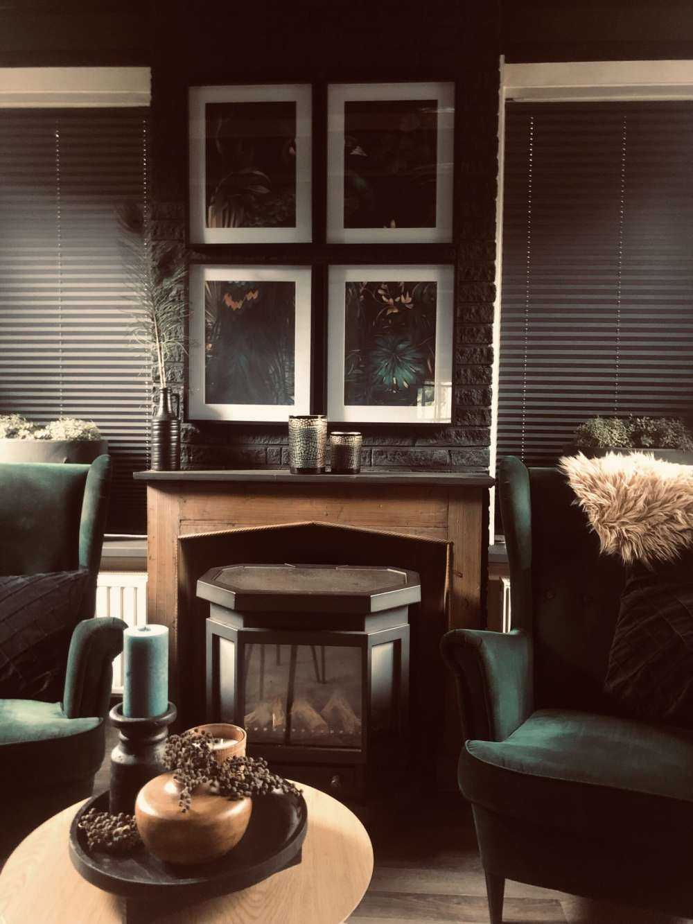 Nighttime Beauty of the Peacock