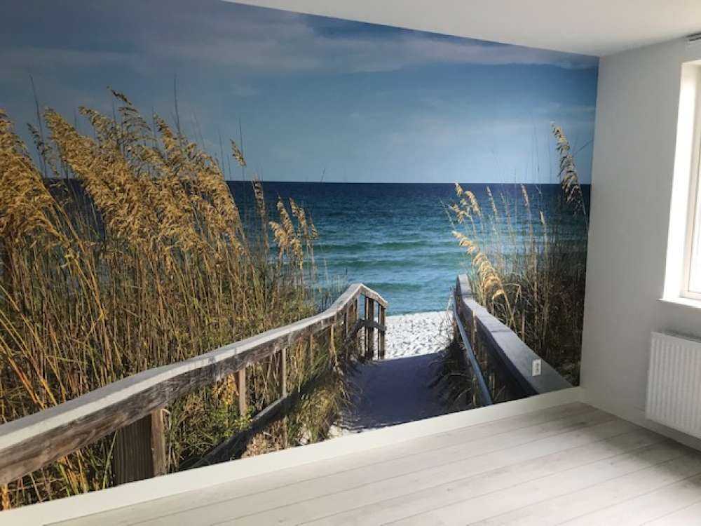 Path to the sea