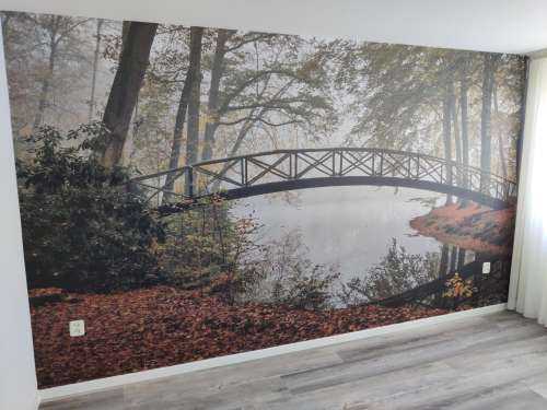 Bridge between the trees