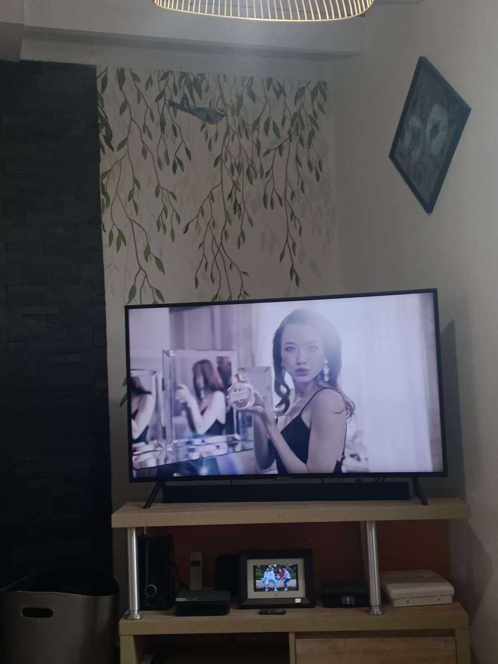 Hanging branches and birds