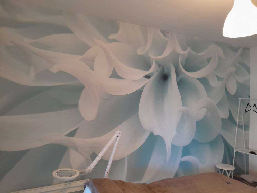 Light colored dahlia