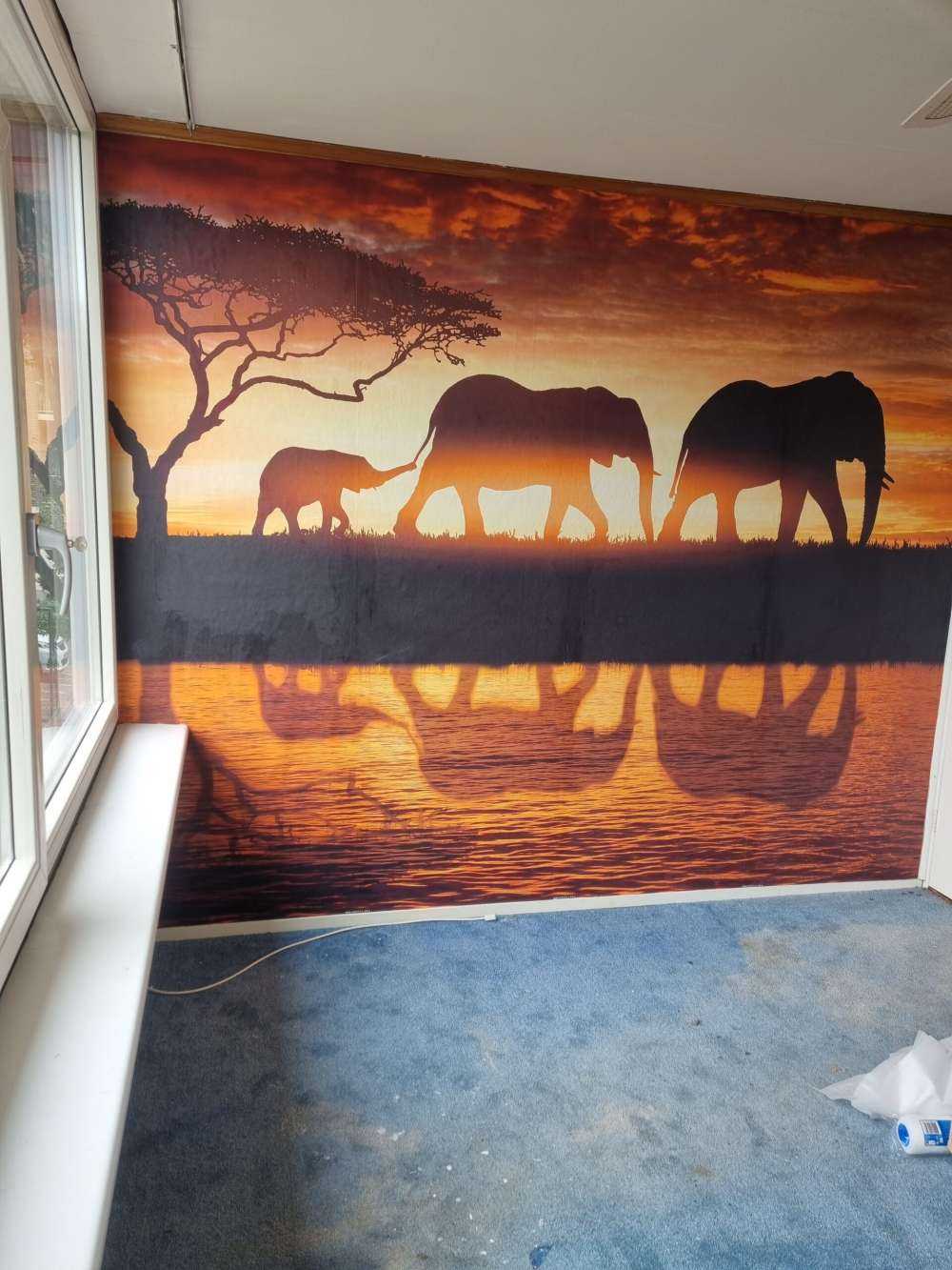 Elephants in savannah