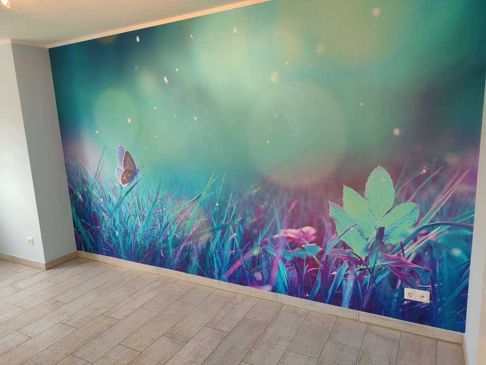 Butterfly in the morning dew