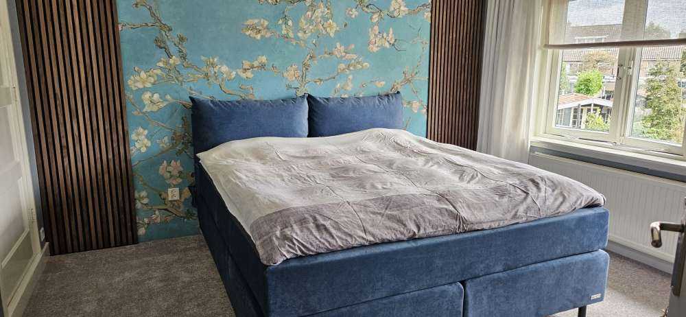 Painted Blossom (Van Gogh)