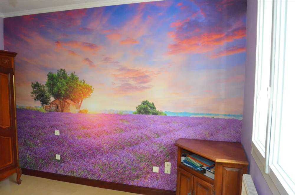 Lavender field during sunrise