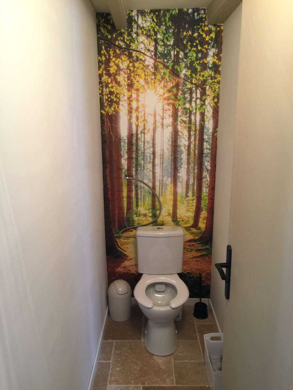 Sunrise in the forest